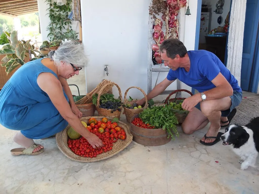 ベッド・アンド・ブレックファスト B&B Al Salvatore Di Lipari イタリア